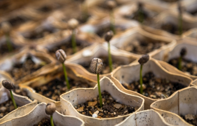 1681718199785432.png 管式土壤水分測(cè)量的重要性