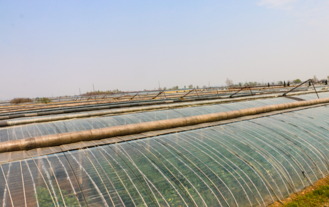 1683697505113143.png 1683697505113143.png