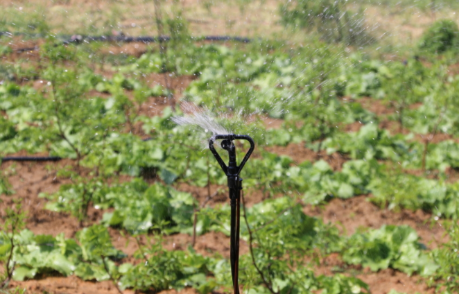 1684129002129320.png 1684129002129320.png