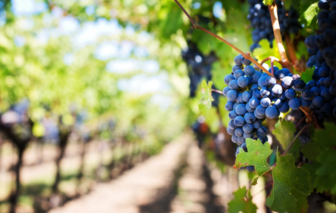 1684377960204400.png 1684377960204400.png