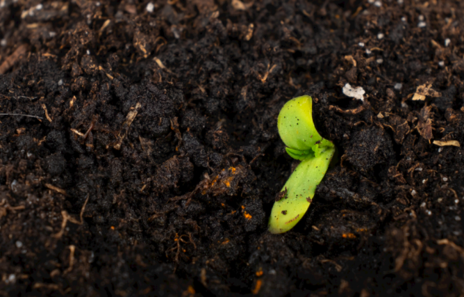 1684807647174416.png 土壤養(yǎng)分測試儀